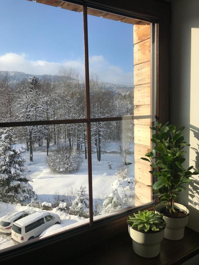 Ubytovani U Potoka Destne v Orlickych horach Exterior foto
