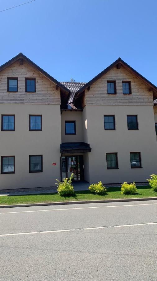 Ubytovani U Potoka Destne v Orlickych horach Exterior foto