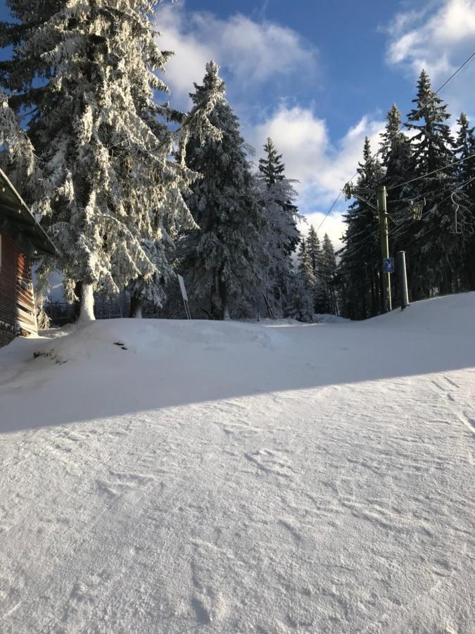 Ubytovani U Potoka Destne v Orlickych horach Exterior foto