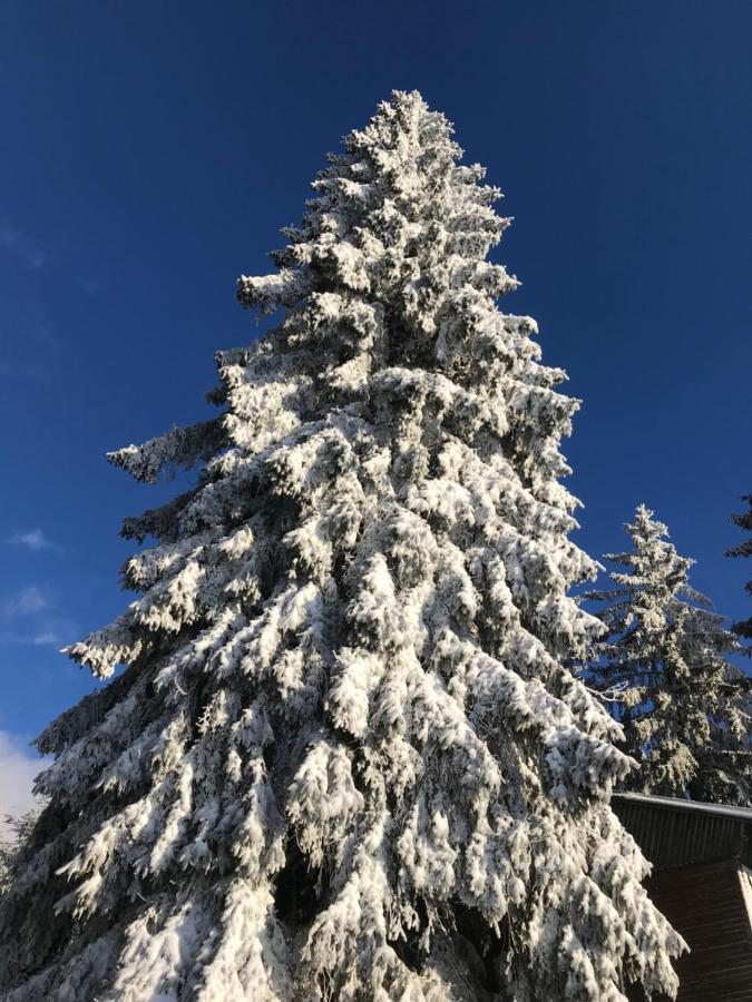 Ubytovani U Potoka Destne v Orlickych horach Exterior foto